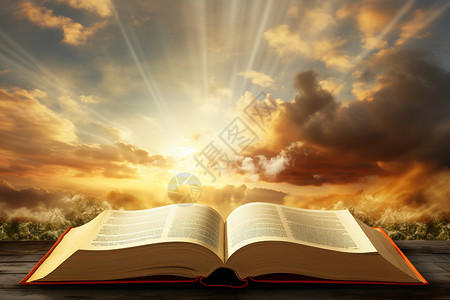 聖經阳光下摊开的书本设计图片