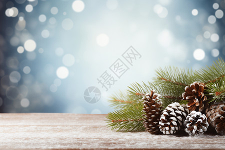 圣诞松子冬日里的松树装饰设计图片
