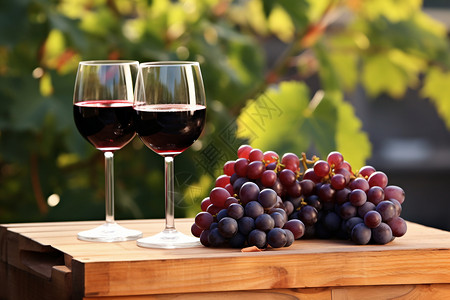 庄园酿造的美味红酒背景图片