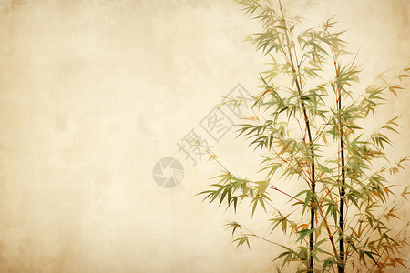 创意竹子艺术背景背景图片