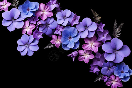 好看美丽花草美丽绽放的紫花背景