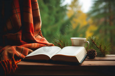 窗台看书窗边的书红毯与松果背景