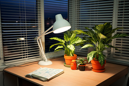 绿色台灯桌子上的台灯和植物背景