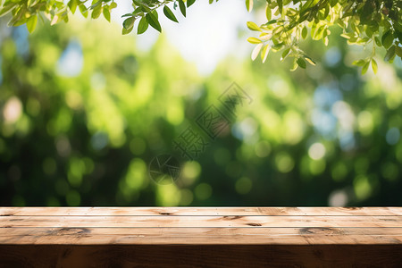 户外的木桌和树木图片