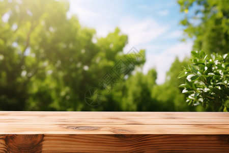 户外的木制柜台和植物背景图片