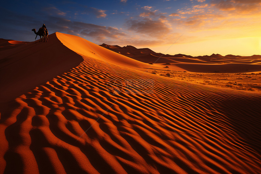 炎热环境的沙漠沙丘图片