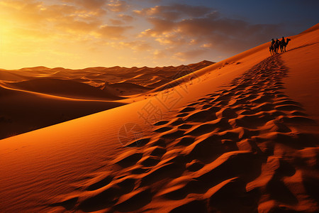 沙漠里的沙丘图片
