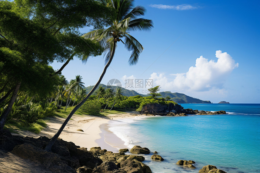 美丽的热带海滩图片
