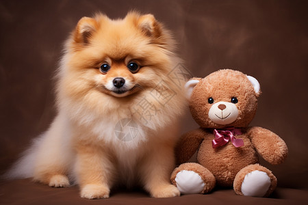 可爱的玩偶熊和小狗背景图片