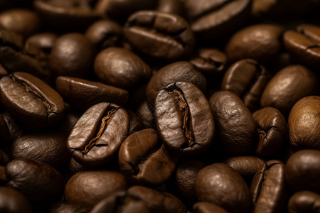 香醇健康的咖啡豆图片
