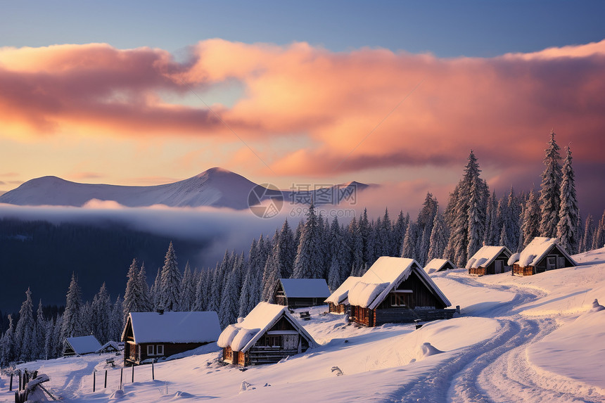 冬季白雪覆盖的森林景观图片