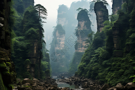 薄雾弥漫的张家界景观背景图片