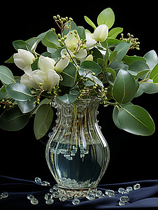 美丽的花瓶和植物图片
