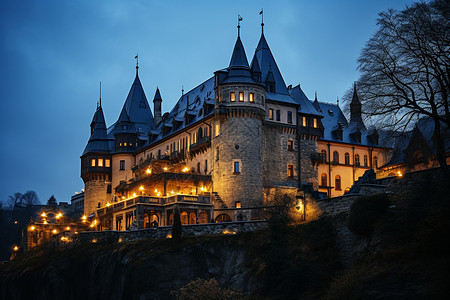 华丽的夜间城堡图片