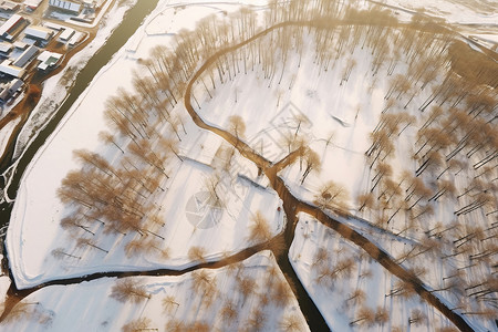 冬日飞雪的天气高清图片