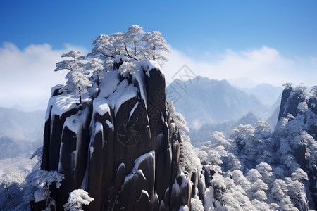 雪山上的树木背景图片