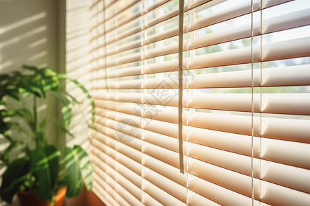 百叶窗室内阳光透过百叶窗照在角落的盆栽上背景