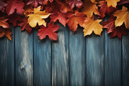 秋日枫叶掩映的木质墙壁背景图片