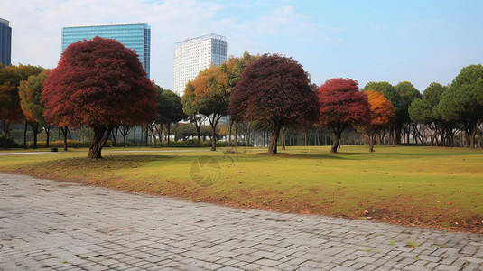 城市公园秋景背景图片