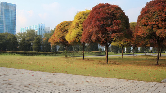 城市公园里的树木背景图片