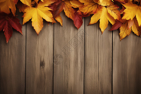 秋日枫叶背景背景图片