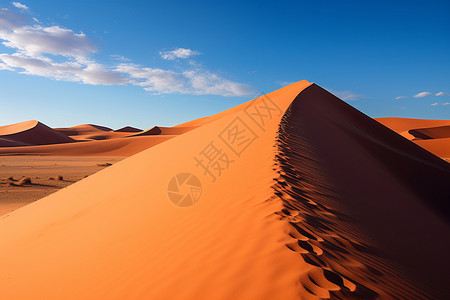 沙漠中的足迹高清图片