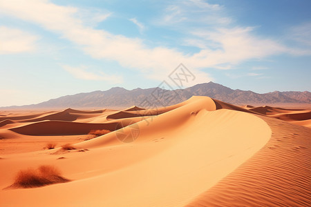 沙丘与山脉相映成趣背景图片