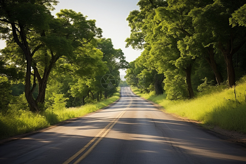 美丽的乡村森林道路景观图片