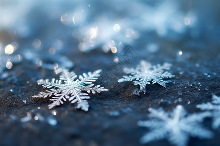 雪花晶体冬日玩雪背景