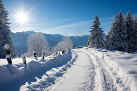 冰雪中的山林背景图片