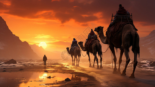 黄昏夕阳下的骆驼背景图片