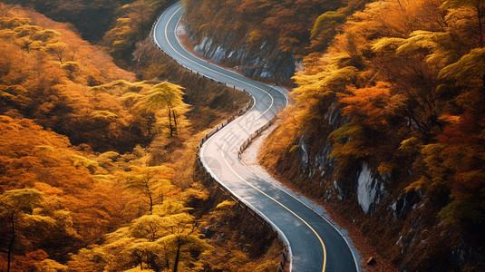 秋天山林间的公路图片