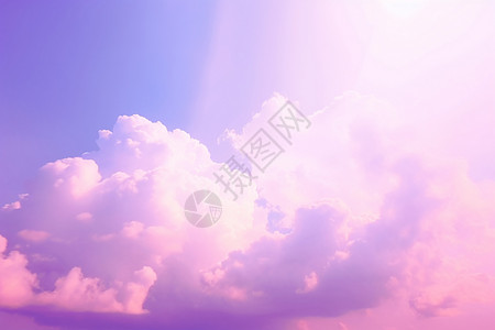紫色阳光花阳光照耀下的紫色天空设计图片