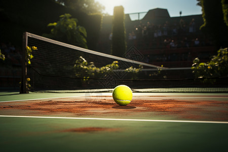 网球场上有一个网球图片