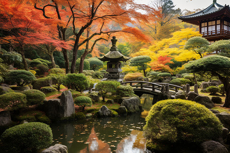 秋色庭园的美景背景图片