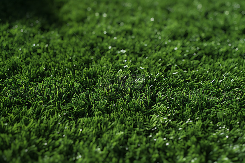清新的绿色草坪图片