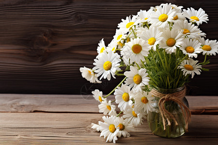 白色盛开的鲜花背景图片