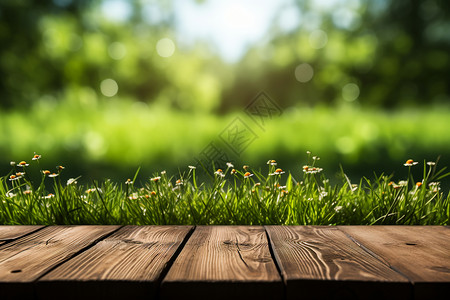 绿草木板吊牌绿草花园上的木质桌面背景