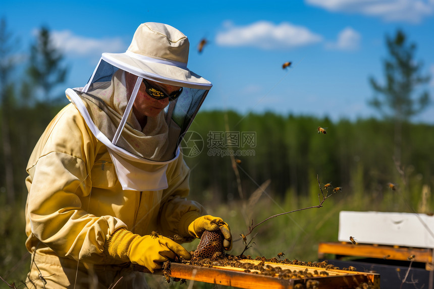 蜜蜂养殖工图片