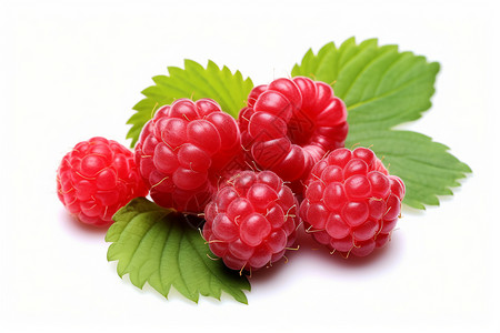 美味的树莓背景图片
