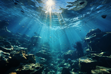 奇妙的海底风景图片