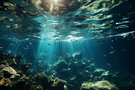 海底的鱼群背景图片