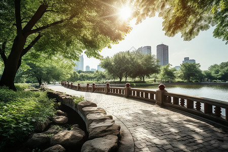 夏季生机勃勃的城市步道背景图片