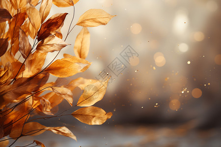 树叶构成柔和的背景图片