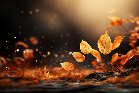 秋日森林秋天的落叶景色设计图片