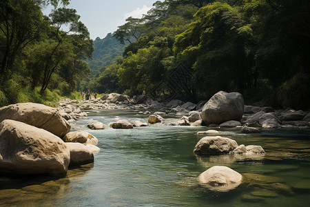 小河流淌的夏季森林景观图片