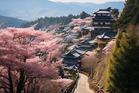 日本山庄美丽的樱花山庄背景