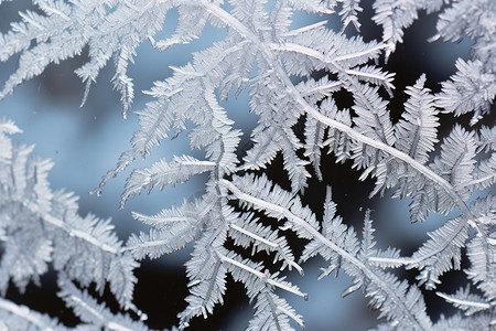 窗户结冰冰雪奇景设计图片