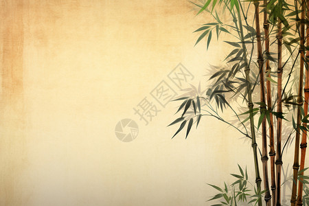 竹子插画背景背景图片