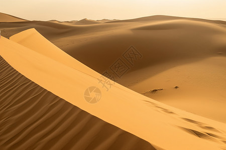 金色沙漠图片